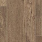 Parchet laminat 10mm Egger EL2858 Stejar Olchon afumat